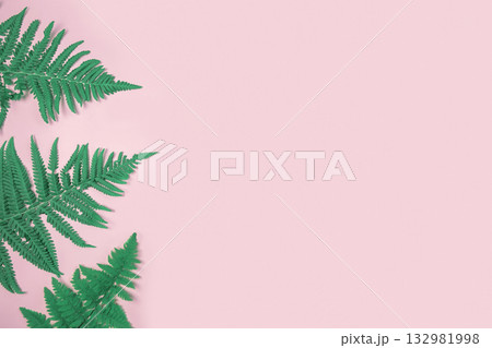 Fresh green fern leaves on light pink background banner. Natural layout. Summer or spring sale template. Minimal concept. Nature pattern. Flat lay, copy space top view. Tropical blank mockup. Frame AD 132981998