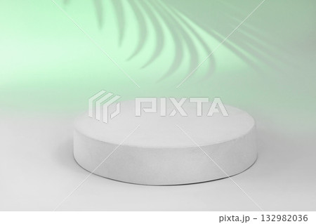 Podium for Cosmetics, Soap, Items Presentation. Abstract Minimal Geometric Sphere. Cylinder One Form Soft Shadow. Scene to Show Product, Object. Showcase Display Case. Palm Leaf, Green Color Ad Stand 132982036