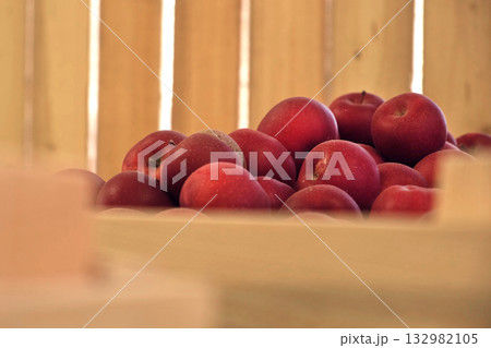 Apples in Wood Crates Ready for Shipping. Cold Storage Interior. Large Distribution Warehouse with Apples. Video Footage for Advertising. Juice, Cider, Vinegar Production. Food Factory. Fruit Industry Apples in Wood Crates Ready for Shipping. Cold Storage Interior. Large Distribution Warehouse with Apples. Video Footage for Advertising. Juice, Cider, Vinegar Production. Food Factory. Fruit Industry 132982105