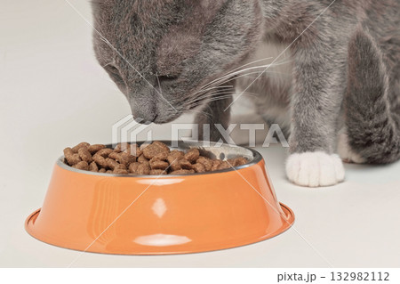 Cat Eating from Bowl. Young Cat Eats Food, Licking Tongue. Feline Feeding Isolated Neutral Background. Tabby Cat Eating Meat, Meal, Looking up, Down. Side View. Pet Food Banner. Domestic Animals Food 132982112