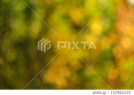 Fall blurred background. Defocused, Out of focus photo. Autumn nature leaves Blur background. Sun shines through blowing on wind yellow and orange foliage. Shining sun through a golden fall tree 132982228