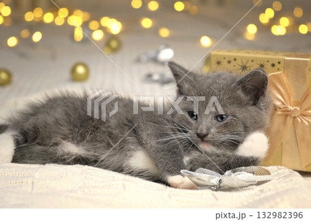 Christmas Cat. Small Gray Kitten Playing with Xmas Decorations, Balls, Looking to Camera. Kitty Preparing to Celebration. Funny Little Cat and Gift Box, Beige Blanket. Festive background. New Year Pet Christmas Cat. Small Gray Kitten Playing with Xmas Decorations, Balls, Looking to Camera. Kitty Preparing to Celebration. Funny Little Cat and Gift Box, Beige Blanket. Festive background. New Year Pet 132982396