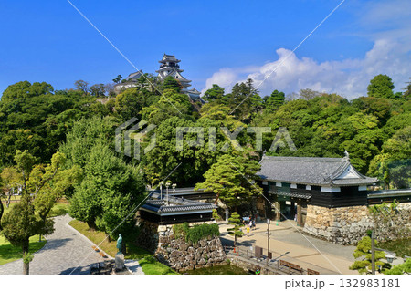 高知城・天守閣・歴史博物館から（高知県・高知市） 132983181