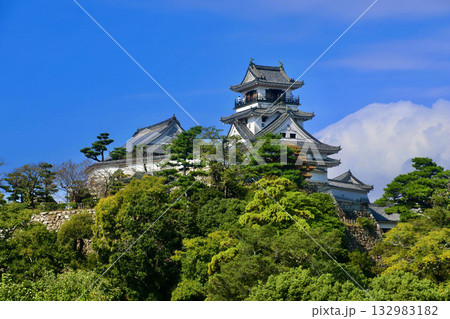 高知城・天守閣・歴史博物館から（高知県・高知市） 132983182