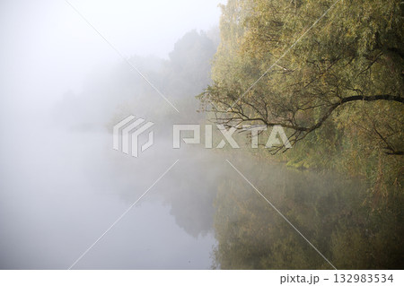 Mist Over a Calm Lake With Overhanging Trees in a Quiet Forest Landscape Mist Over a Calm Lake With Overhanging Trees in a Quiet Forest Landscape 132983534