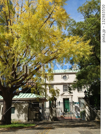 紅葉の横浜開港記念館 132983550
