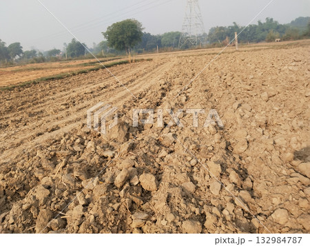 Freshly ploughed agricultural field showing tractor tire marks and turned soil, ready for sowing crops in a rural Indian farming landscape during cultivation season Freshly ploughed agricultural field showing tractor tire marks and turned soil, ready for sowing crops in a rural Indian farming landscape during cultivation season 132984787