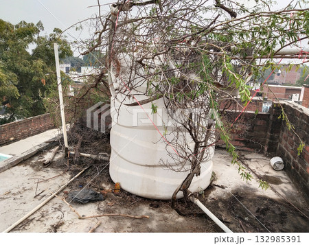 Overhead water storage tank on rooftop protected with thorny plant for safety, traditional rural method to deter birds or animals from approaching the water tank Overhead water storage tank on rooftop protected with thorny plant for safety, traditional rural method to deter birds or animals from approaching the water tank 132985391