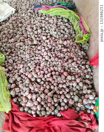 Freshly harvested onions with residual soil placed on a red cloth over an earthen floor, showing an organic post-harvest scene of Indian farming with natural textures and earthy background Freshly harvested onions with residual soil placed on a red cloth over an earthen floor, showing an organic post-harvest scene of Indian farming with natural textures and earthy background 132986251