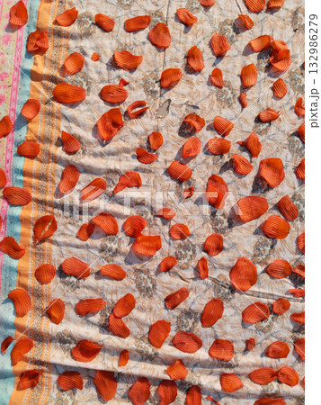 Sun drying large quantity of sliced potato chips spread evenly on cloth in rural India for traditional homemade snack preservation 132986279
