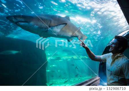 Man smiling and pointing at sand tiger shark in aquarium through glass panel near rocky outcrop 132986710