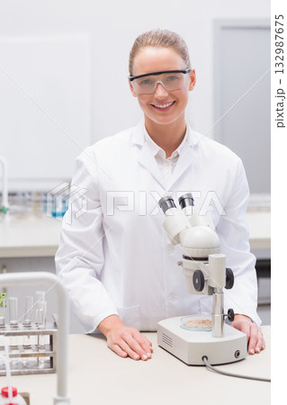 Female scientist observing petri dish under binocular microscope at lab bench with test tube rack Female scientist observing petri dish under binocular microscope at lab bench with test tube rack 132987675