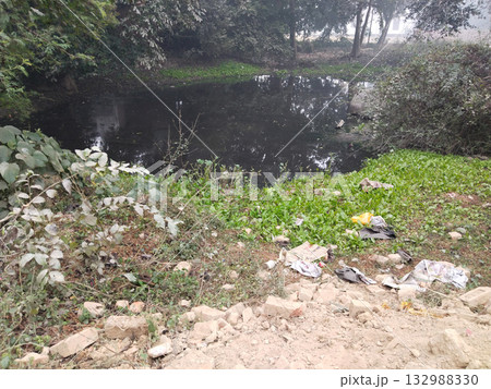 Stagnant rural pond with dark blackish water and dense green grass around the edges, no visible waste but water indicates natural decay or organic contamination in neglected village area 132988330