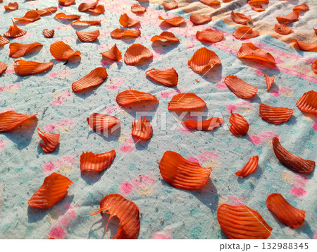 Home Made Raw Potato Chips dried in sunlight- Dry Potato Chips Fryums (Crunchy, Thin) Aalu Ke Chips - Homemade Kacchi Potato Chips dry in sunlight. 132988345