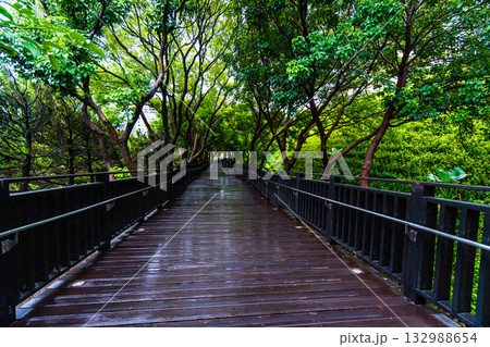 台湾　台北　国立故宮博物院 132988654