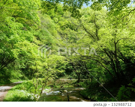 帝釈峡の美しい新緑風景 (広島県庄原市) 帝釈峡の美しい新緑風景 (広島県庄原市) 132988712