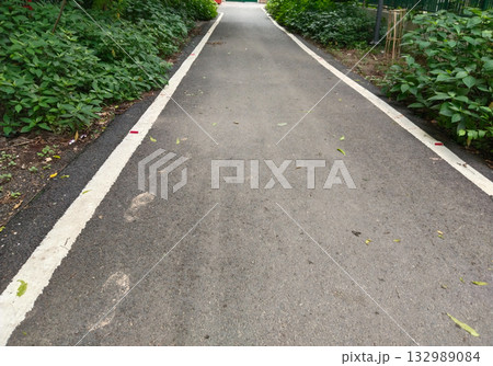 Straight paved walkway in green park bordered by wild grass and trees, tranquil outdoor path ideal for jogging, walking, leisure or nature exploration, clean surroundings with fresh greenery, open 132989084