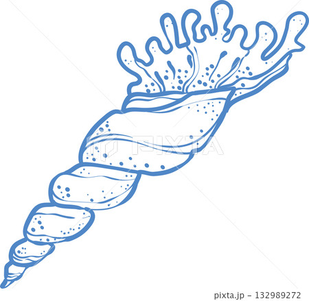 Blue line art seashell illustration, minimal nautical design vector 132989272