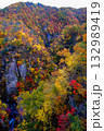 鳴子峡の紅葉 132989419