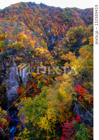 鳴子峡の紅葉 132989419