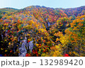 鳴子峡の紅葉 132989420