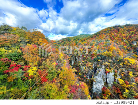 鳴子峡の紅葉 132989421