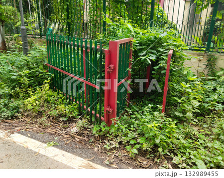 Small metal gate installed to block or restrict pathway access in public park, painted green and red, surrounded by overgrown plants and natural greenery, provides controlled entry and safety in Small metal gate installed to block or restrict pathway access in public park, painted green and red, surrounded by overgrown plants and natural greenery, provides controlled entry and safety in 132989455
