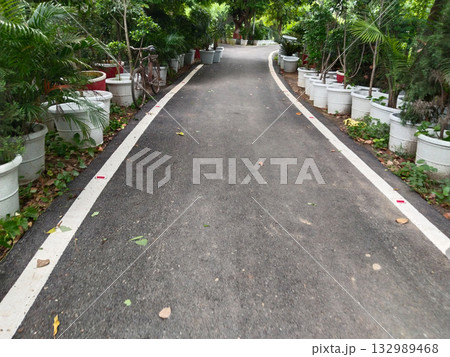 Garden pathway with asphalt road lined with decorative potted plants on both sides, outdoor park walkway surrounded by greenery and foliage creating a natural scenic view for walking and relaxation 132989468