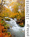 奥入瀬渓流の紅葉 132989558