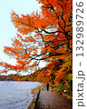 十和田湖の紅葉 132989726