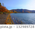 十和田湖の紅葉 132989728