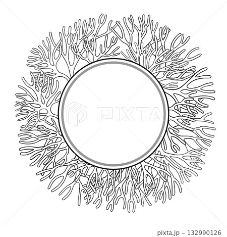 Sea Moss Branch Outline Round Frame. Sea Moss Branch Outline Round Frame. 132990126
