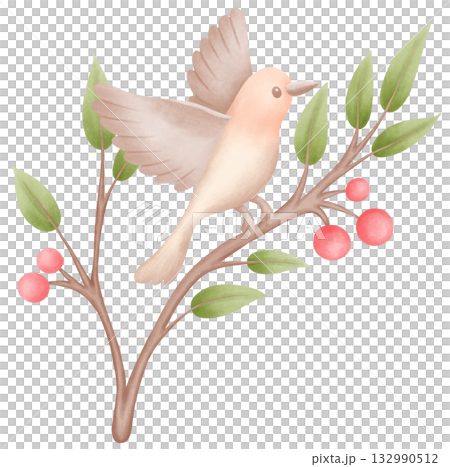 watercolor style bird illustration wildlife art 132990512