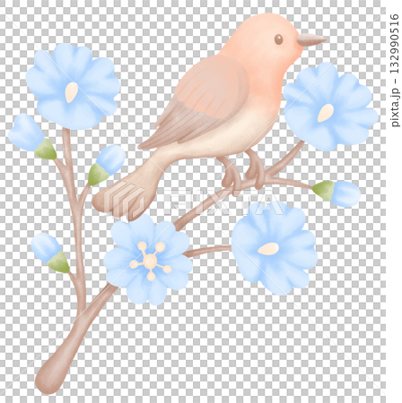 soft watercolor bird illustration for animal day 132990516