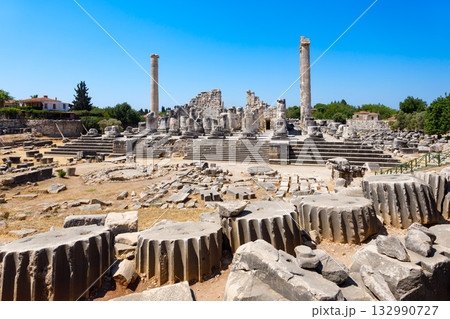 Temple of Apollo ruins at Didyma ancient sanctuary in Didim city in Turkey Temple of Apollo ruins at Didyma ancient sanctuary in Didim city in Turkey 132990727