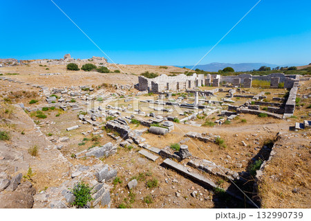 Miletus Archaeological Site near Didim city in Turkey 132990739