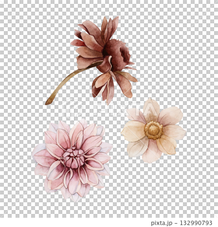 Autumn flowers set. Dahlia Chrysanthemum Echinacea. Watercolor hand drawn floral illustration isolated on white background for wedding design home textile print cosmetic package porcelain crockery Autumn flowers set. Dahlia Chrysanthemum Echinacea. Watercolor hand drawn floral illustration isolated on white background for wedding design home textile print cosmetic package porcelain crockery 132990793