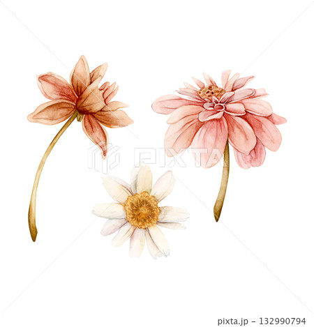 Autumn flowers set. Dahlia Chrysanthemum Daisy. Watercolor hand drawn floral illustration isolated on white background for wedding design home textile print card cosmetic package porcelain crockery Autumn flowers set. Dahlia Chrysanthemum Daisy. Watercolor hand drawn floral illustration isolated on white background for wedding design home textile print card cosmetic package porcelain crockery 132990794