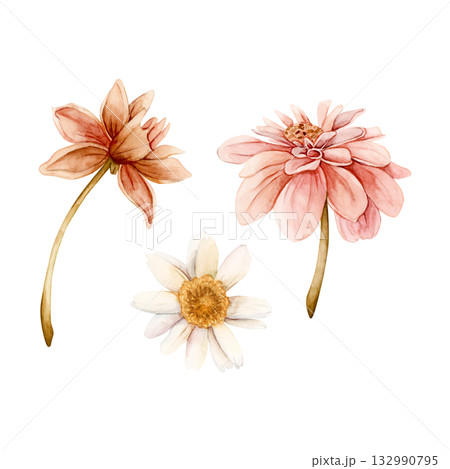 Autumn flowers set. Dahlia Chrysanthemum Daisy. Watercolor hand drawn floral illustration isolated on white background for wedding design home textile print card cosmetic package porcelain crockery Autumn flowers set. Dahlia Chrysanthemum Daisy. Watercolor hand drawn floral illustration isolated on white background for wedding design home textile print card cosmetic package porcelain crockery 132990795