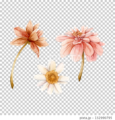 Autumn flowers set. Dahlia Chrysanthemum Daisy. Watercolor hand drawn floral illustration isolated on white background for wedding design home textile print card cosmetic package porcelain crockery Autumn flowers set. Dahlia Chrysanthemum Daisy. Watercolor hand drawn floral illustration isolated on white background for wedding design home textile print card cosmetic package porcelain crockery 132990795