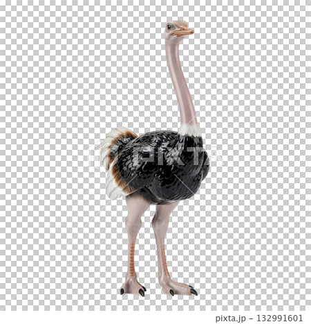 Porcelain figurine of a large ostrich bird with black and white feathers standing tall 132991601