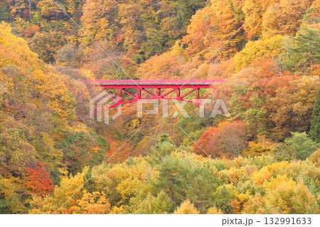 信州松川渓谷　高井橋 132991633