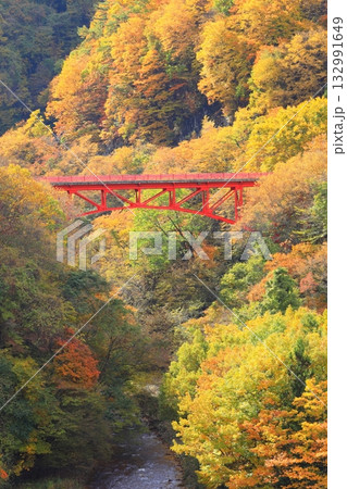 信州松川渓谷　高井橋 132991649