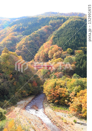 信州松川渓谷 高井橋 信州松川渓谷 高井橋 132991655