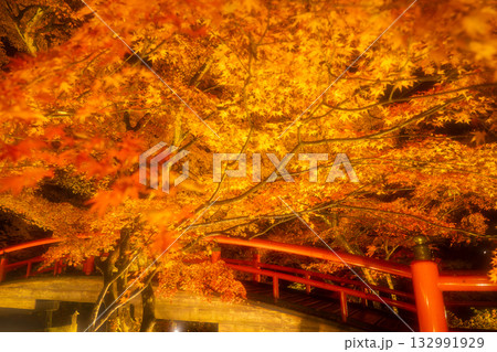 秋の伊香保温泉　ライトアップされた紅葉の河鹿橋 132991929