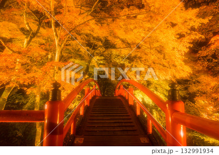 秋の伊香保温泉　ライトアップされた紅葉の河鹿橋 132991934
