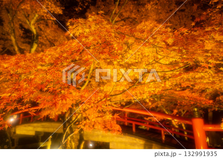 秋の伊香保温泉 ライトアップされた紅葉の河鹿橋 秋の伊香保温泉 ライトアップされた紅葉の河鹿橋 132991935