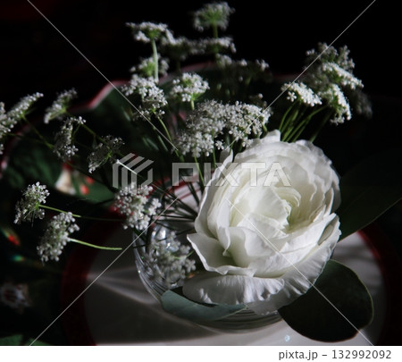 白い花 132992092