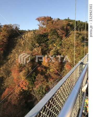 橋の上から 橋の上から 132992381