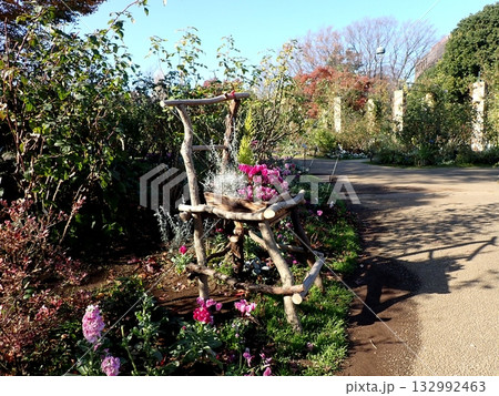 ガーデニング　シクラメンのオブジェ　港の見える丘公園 132992463